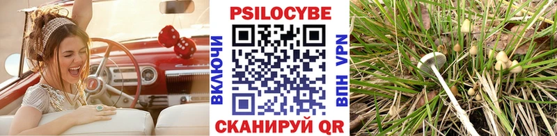 Псилоцибиновые грибы Psilocybine cubensis  Сосновка 